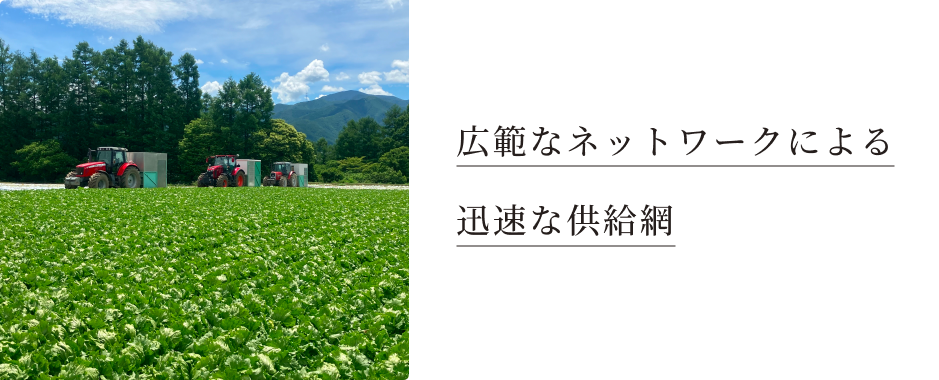 main_slider02